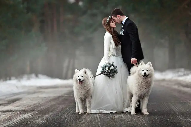 Pet-friendly wedding