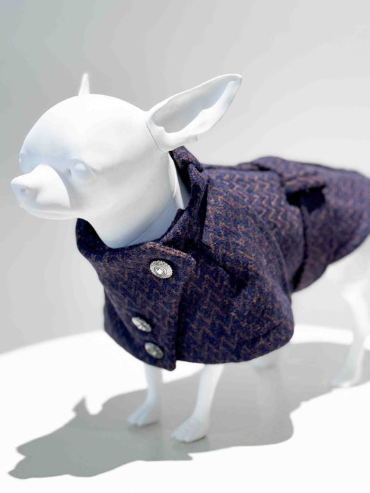 Dress for a dog: Custom wool winter coat with jewel buttons, perfect for stylish dogs in sweaters.