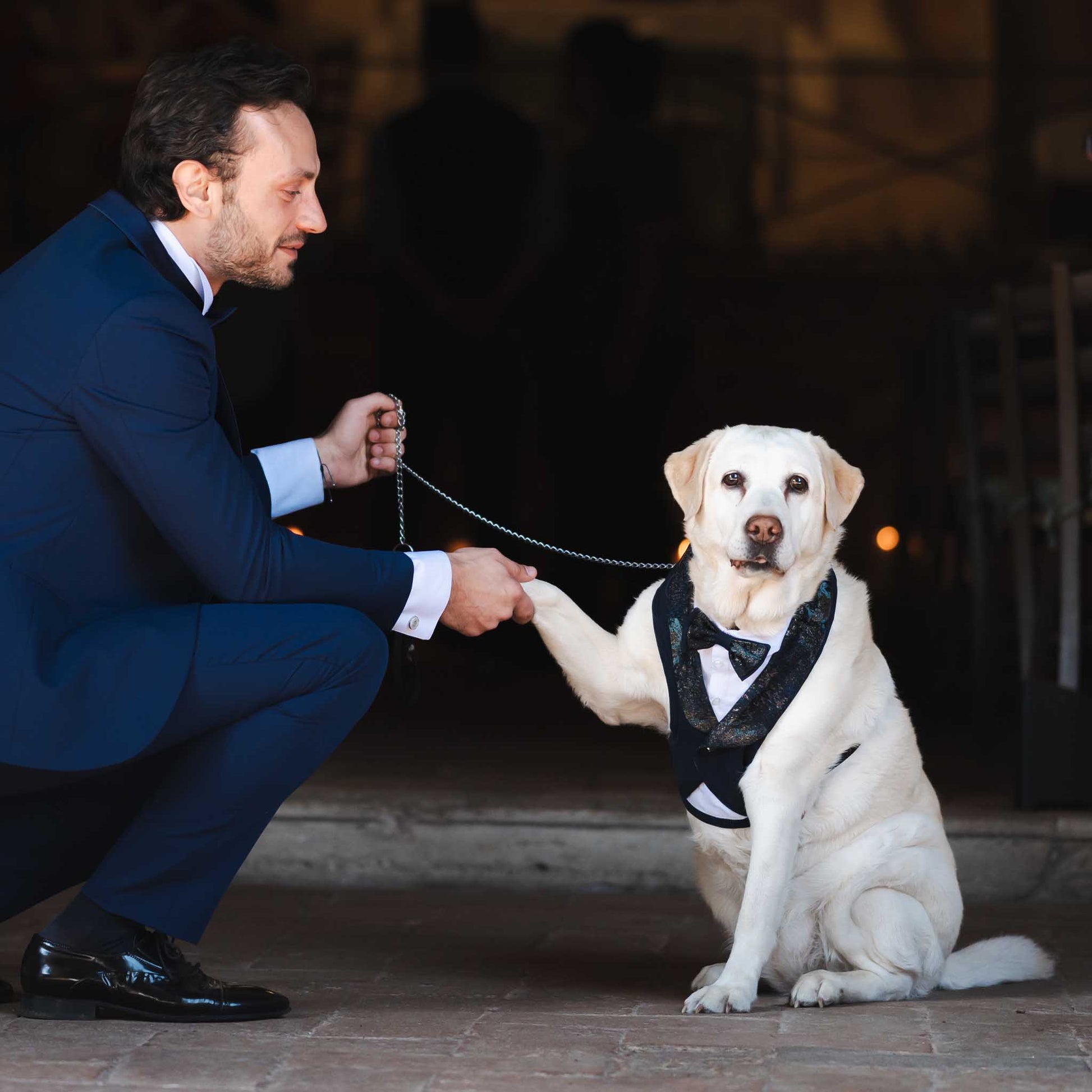 A man in a blue suit kneels and shakes hands with a Labrador Retriever wearing a tuxedo vest and bow tie.