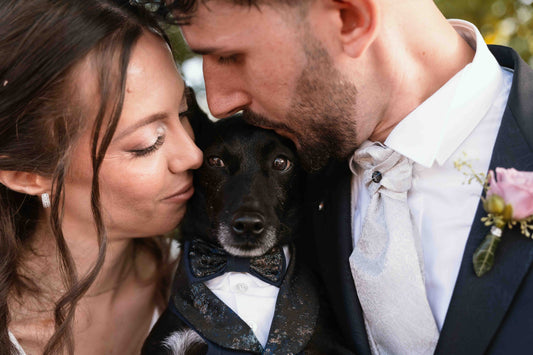 Why Bring Your Dog to Your Wedding?
