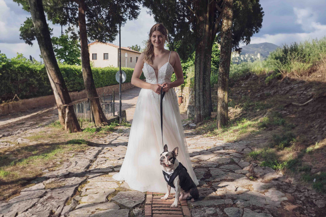 elegant wedding dog suit