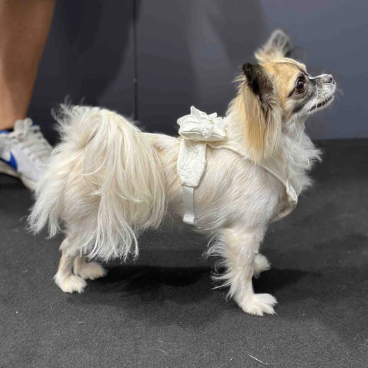 Wedding ring bearer for dog