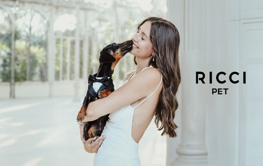 dog accessory for wedding day