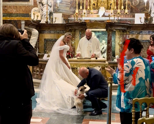 The dog as a ring bearer: a new trend in Italy