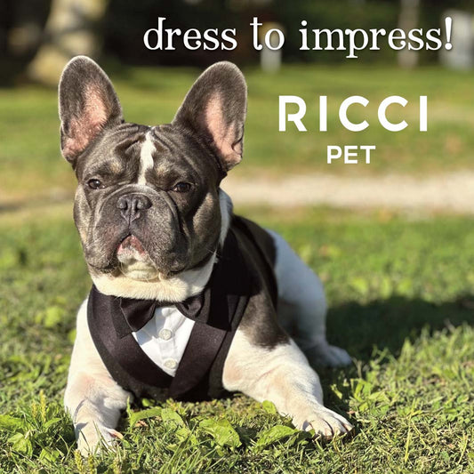 dog tuxedo for weddings by Ricci Pet