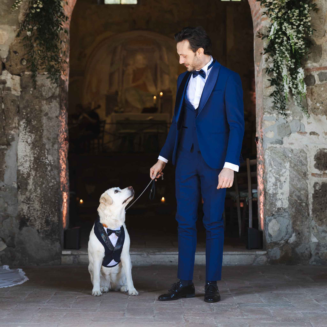 luxury dog brand for wedding and birthday