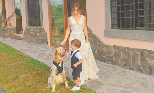 let your dog participate in your wedding together with the bride, children and guests