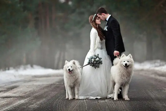 Pet-friendly wedding 