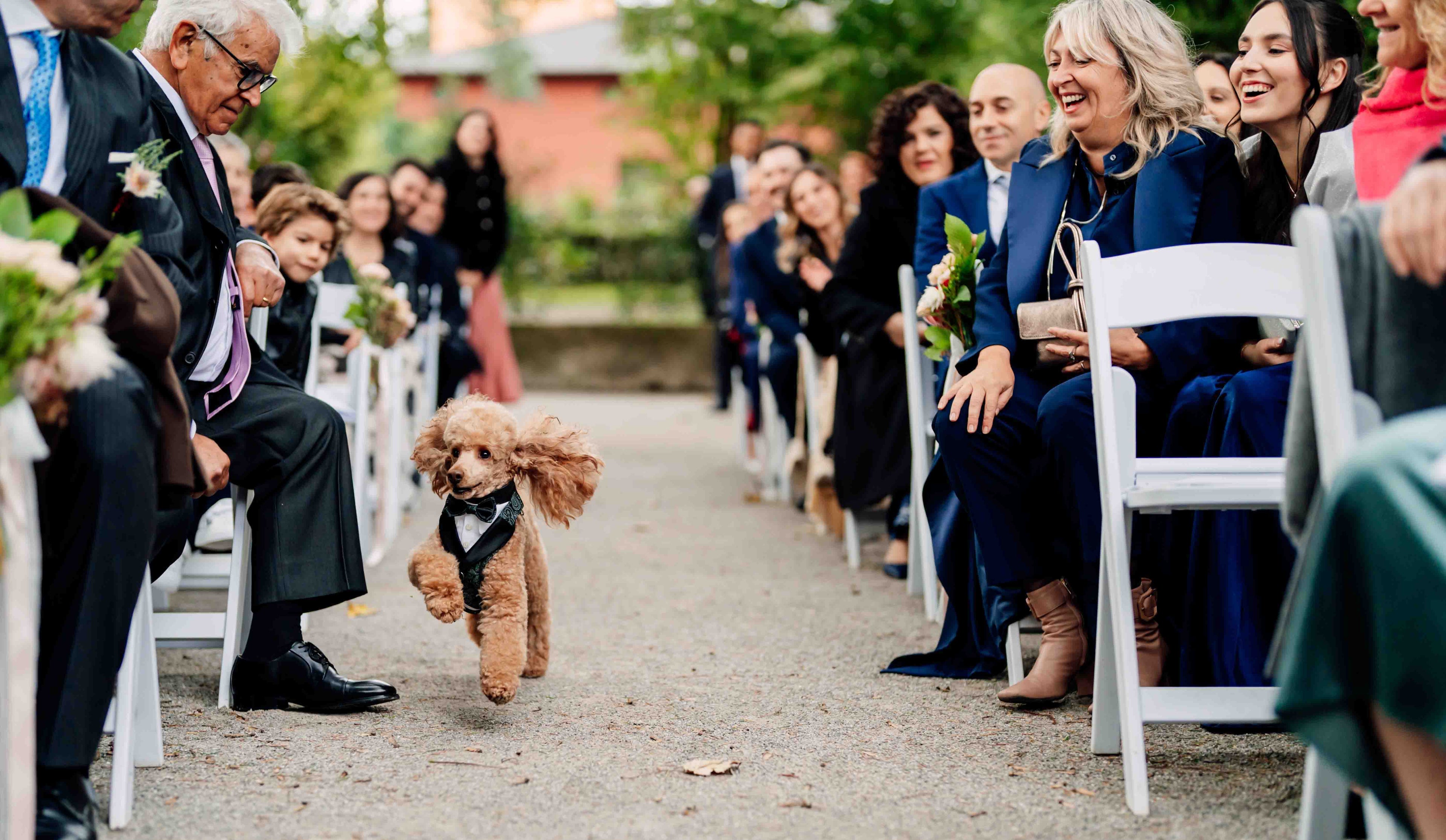 Ring bearer dog running down the wedding aisle in an elegant Ricci Pet tuxedo, surrounded by smiling guests during an outdoor ceremony.