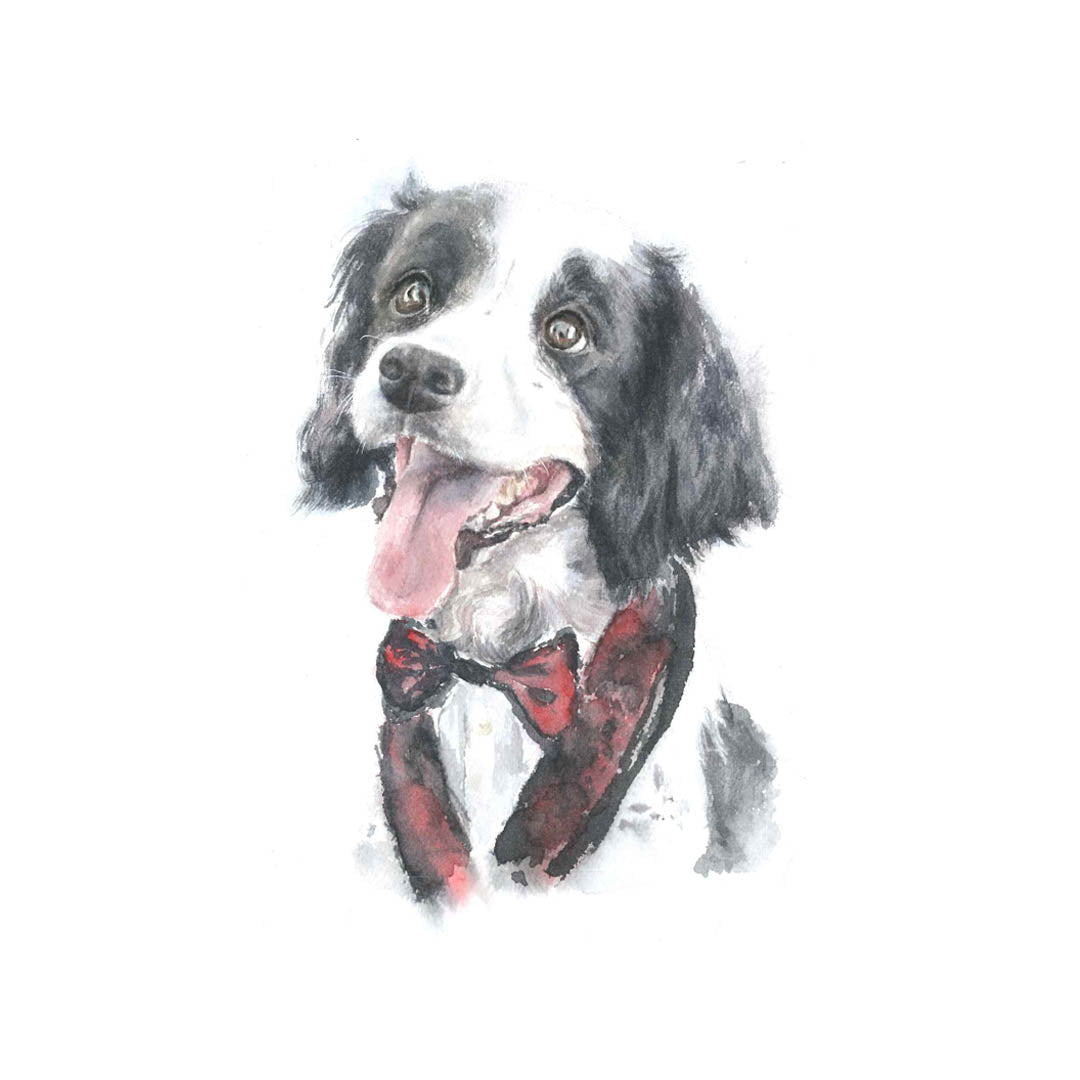 A paint with a black and white dog with a red tuxedo harness 