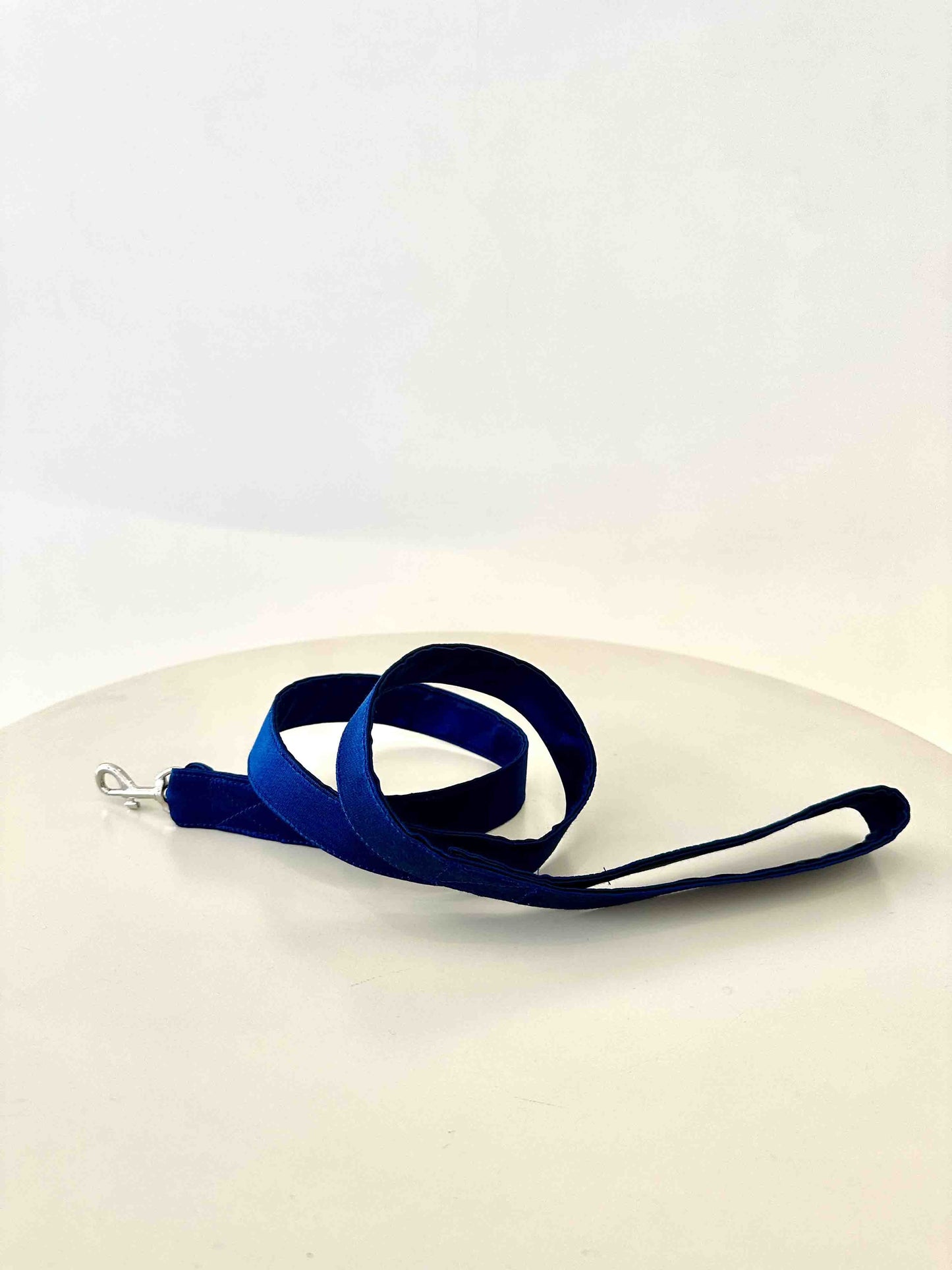 Blue dog leash to match a tuxedo or harness