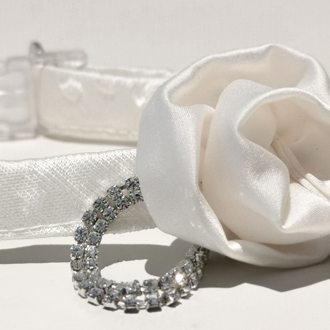 the collar with roses and Swarovski is suitable for all pets who want a touch of elegance and refinement