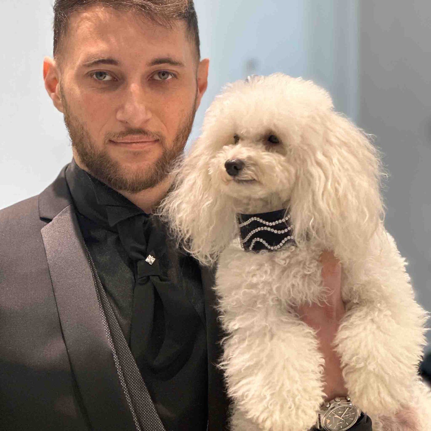 A man dressed in a formal black suit holds a fluffy white dog adorned with a stylish, jeweled collar, emphasizing the dog's fashionable accessory.