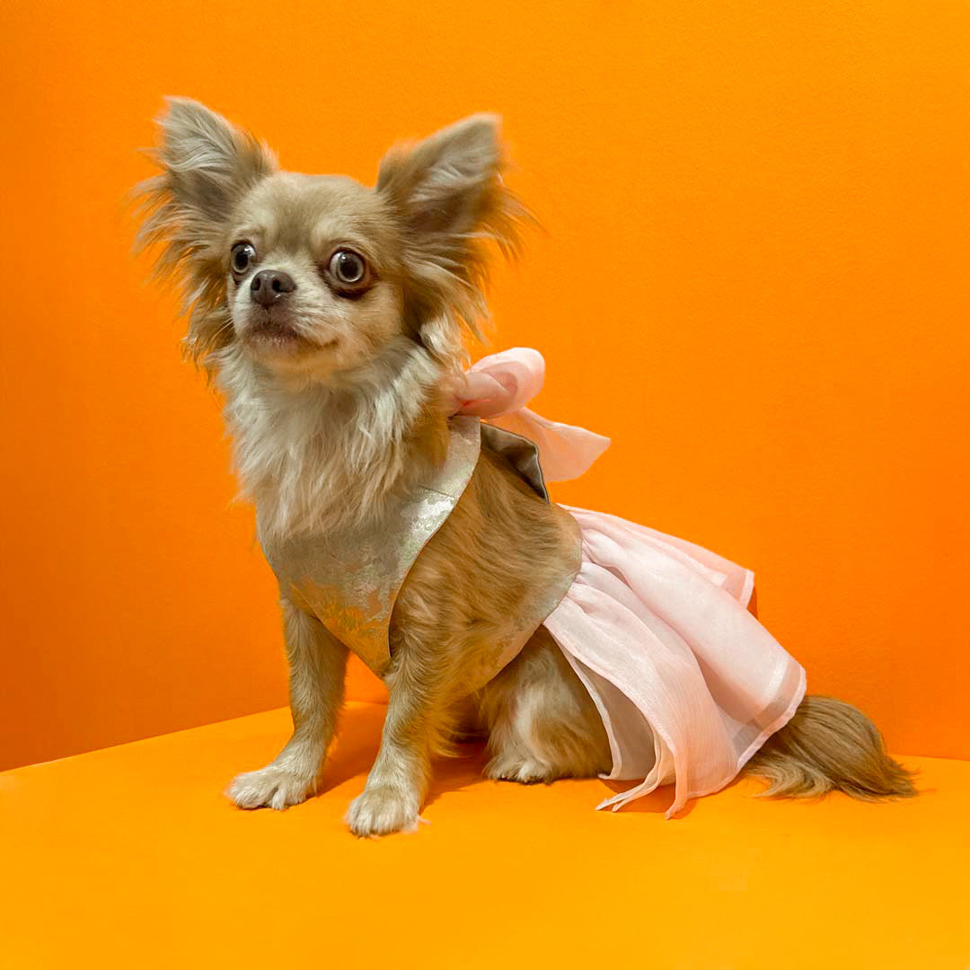 dog bridal dresses