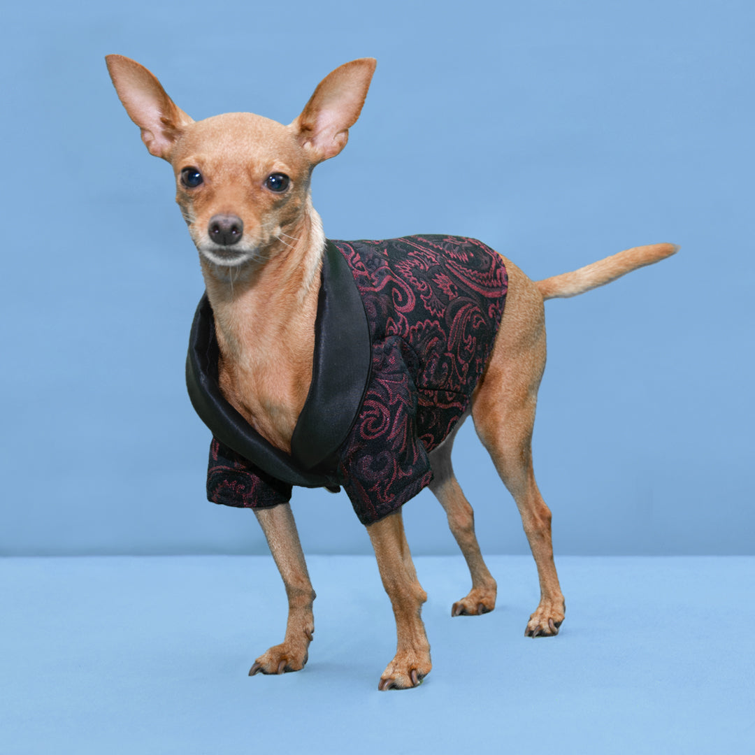 La giacca elegante per cani e gatti, realizzata su misura in modo sartoriale, è un capo d'abbigliamento raffinato e alla moda che dona al tuo amico a quattro zampe un aspetto sofisticato e distinto. 